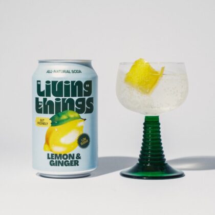 Living-Things-Zitronen-und-Ingwer-low-sugar-limonade-vegan